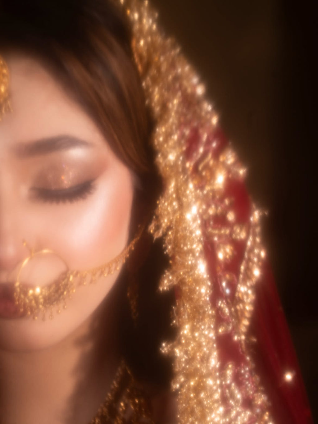 BRIDAL LUXURY RED LEHENGA