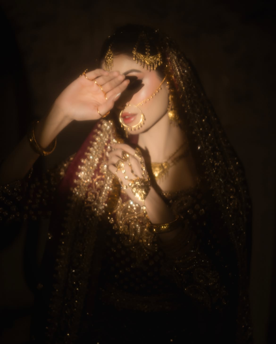 ELEGANT BRIDAL LEHENGA CHOLI