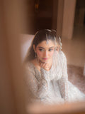 BRIDAL FLARED SILVER GOWN