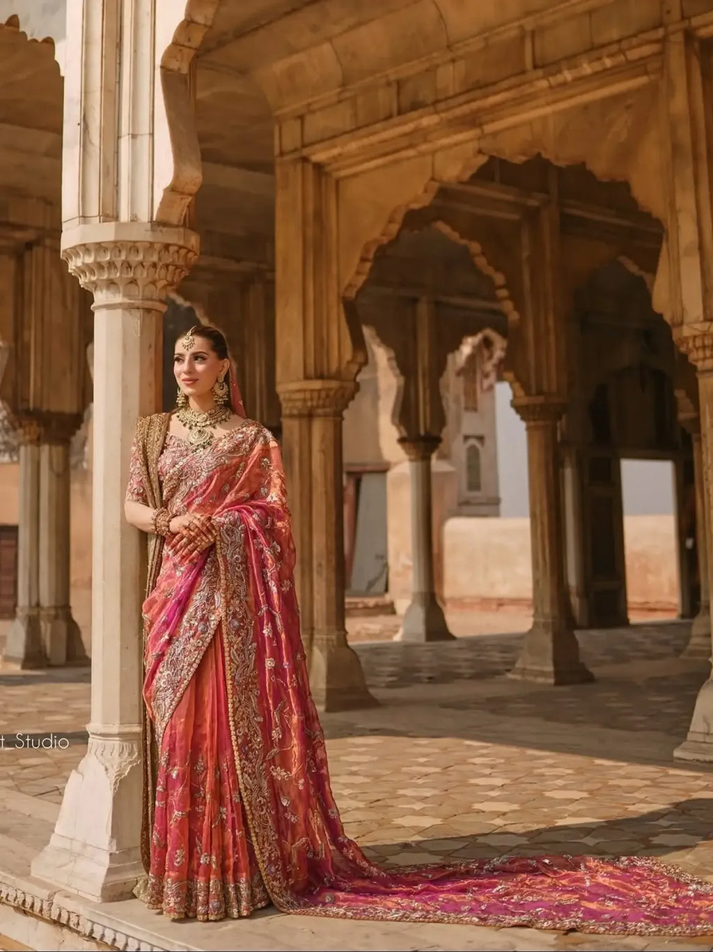 BRIDAL LUXURY SAREE